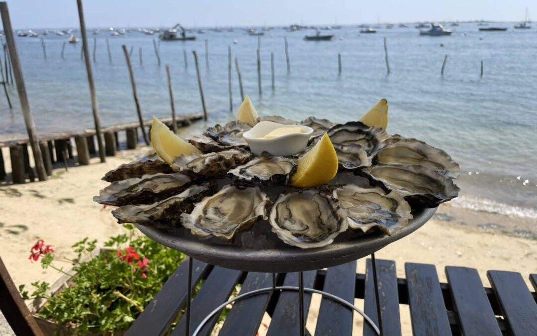 ​🇫🇷​ Ostréiculture à Arcachon