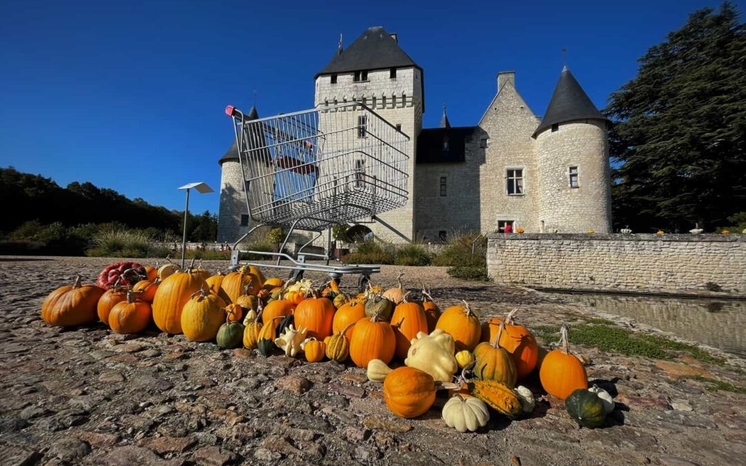 ​🇫🇷​ Château du Rivau