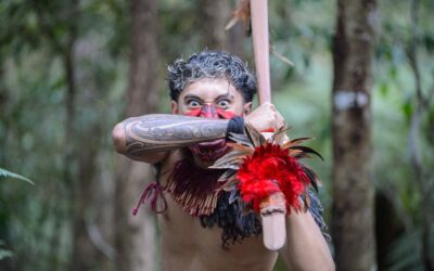 🇳🇿​ Waitangi Treaty Grounds