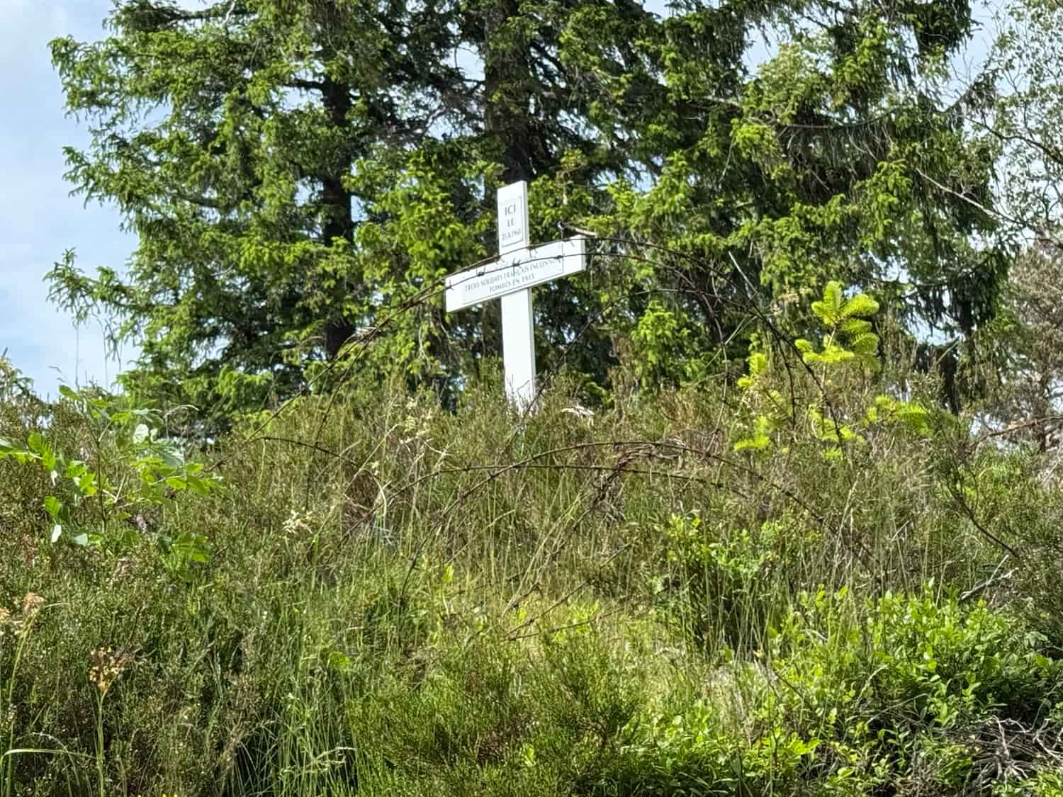 Séminaire sur mesure : Découverte de la maison Albert Schweitzer en famille : Photo d'A. Schweitzer au piano.
