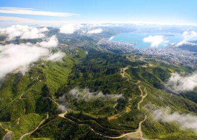 Learning-trip en Nouvelle-Zélande : Vue sur le parc de Zealandia Wellington
