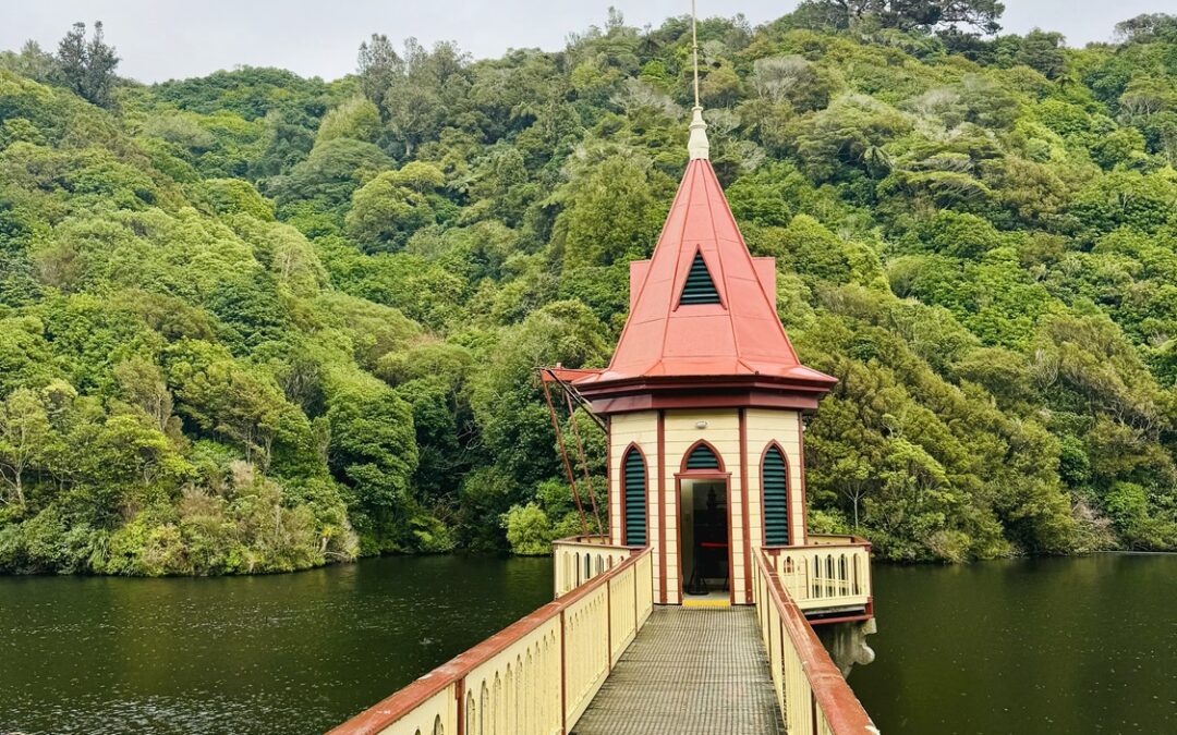 🇳🇿​ Zealandia Wellington