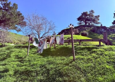 Learning-trip en Nouvelle-Zélande : Fil à linge sur les collines verdoyantes d'Hobbiton (Matamata)