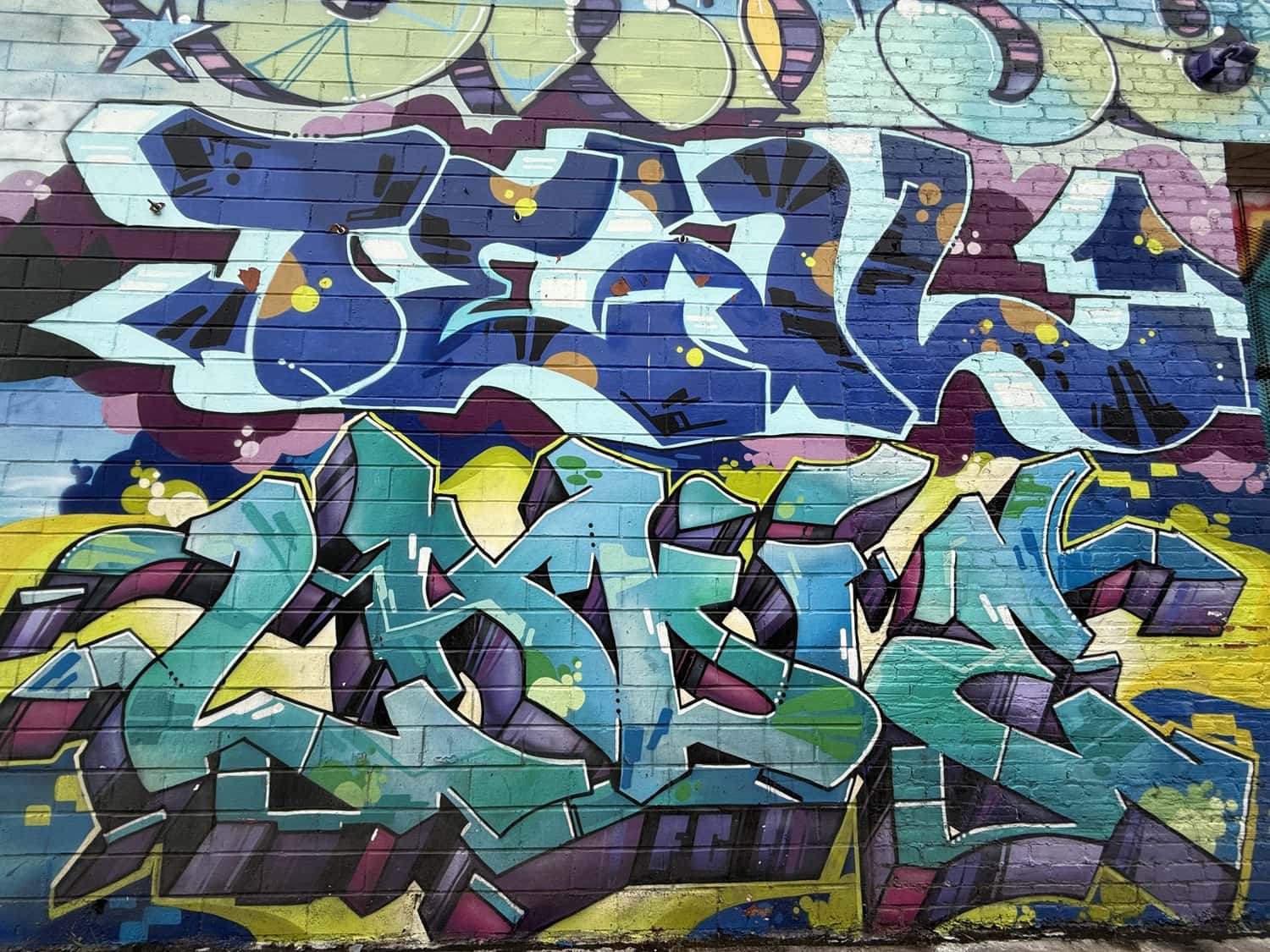 Fresque murale par l’artiste Street Art « Ladie » (Los Angeles) Fresque murale par « Ladie » l’une des célèbres « Fame City Kings » (équipe de Graffiti originale de NYC). Art Districts