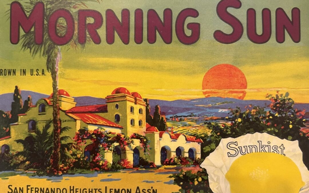 🇺🇸​ Sherman Library and Gardens – Corona del Mar