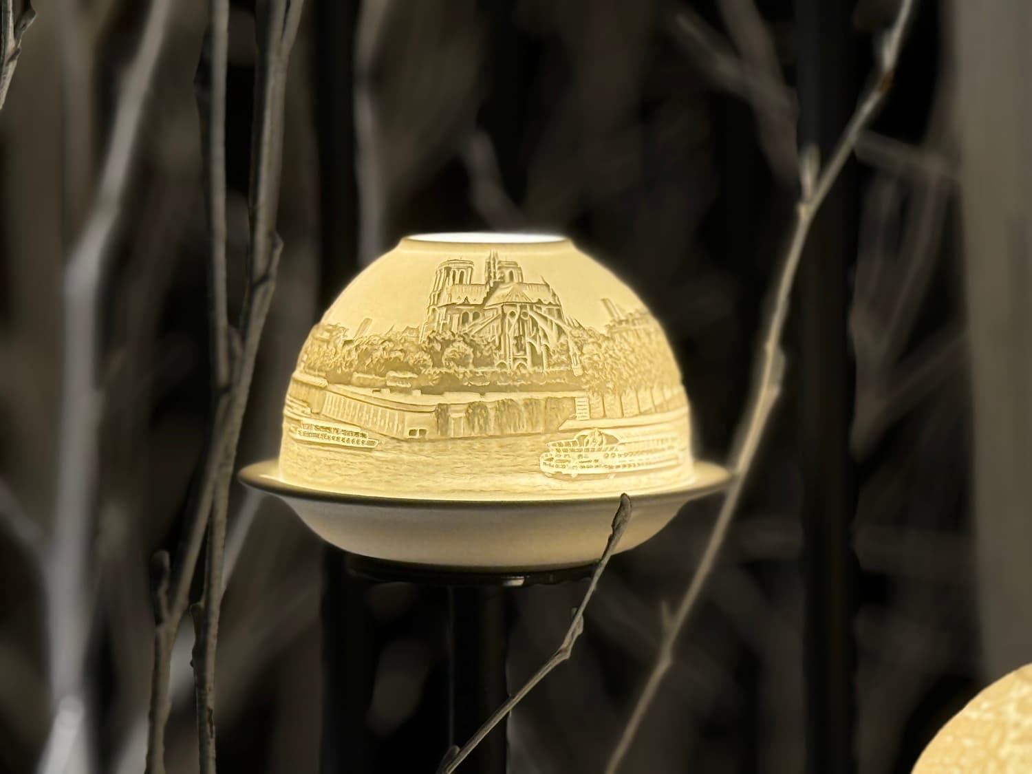 Chenonceau-Decembre-2025 (73) Voyage incentive en Nouvelle-Zélande :