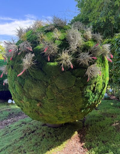 Escapade originale entre amis : kokedama de mousse verte par l’artiste et réalisatrice Momoko Seto (festival international des jardins – Chaumont sur Loire)