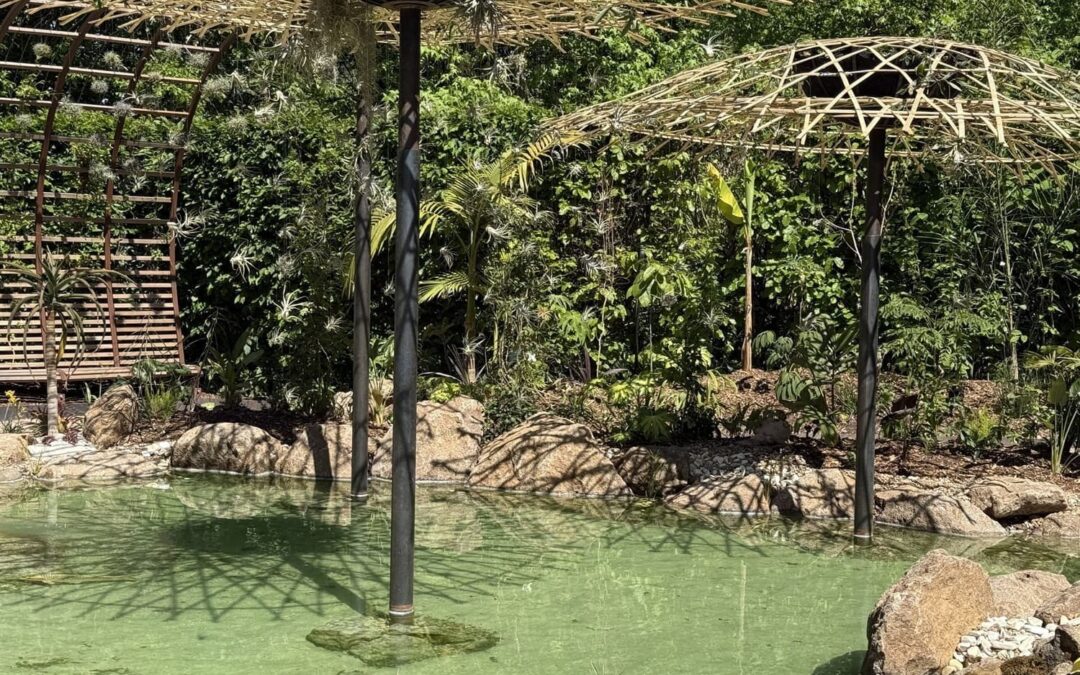🇫🇷​ Festival des jardins 2026