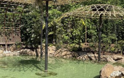 🇫🇷​ Festival des jardins 2026