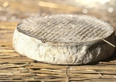 Voyage gastronomique en Auvergne : Gros plan sur un fromage Saint-Nectaire fermier AOP avec sa plaque de caséine elliptique distinctive, posé sur une natte de paille.