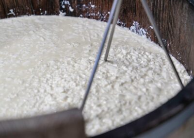 Découverte gastronomique en Auvergne : Gros plan sur le caillé tranché en cuve de bois, révélant les grains fins avant extraction du lactosérum, fabrication du Cantal.