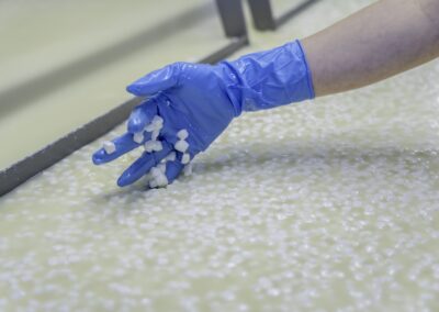Visite hors des sentiers battus en Auvergne : Main gantée plongeant dans le caillé pour extraire les grains lors de la fabrication d'un fromage AOP d'Auvergne.