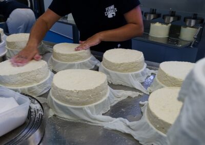 Séjour familial en Auvergne : Fromagère salant à la main la surface d'un fromage frais démoulé, entouré de toiles d'égouttage, fabrication du Saint-Nectaire.